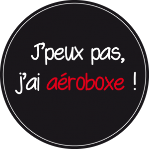 MJC Ancely Badge activité aéroboxe